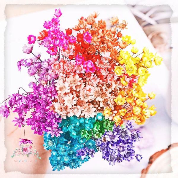 Fiori decorativi 30pcs Belle piante naturali Piccole stelle Dry Wedding Party Prodotti per la decorazione della casa Mini bouquet fatto a mano fai-da-te