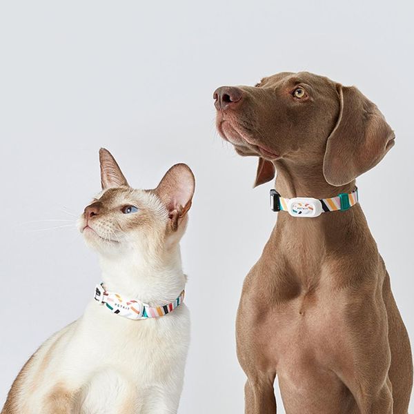 Tracker PETKIT Collari intelligenti per cani e gatti Sonno Rilevamento attività sportive APP Localizzatore GPS da lavoro Collare per cuccioli impermeabile in nylon morbido regolabile