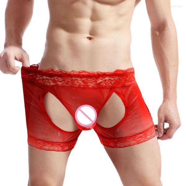 Cueca sexy masswear calwear gay boxer shorts de renda de margens de punhes abertos bolsa de calcinha masculina de calcinha masculina boxershorts