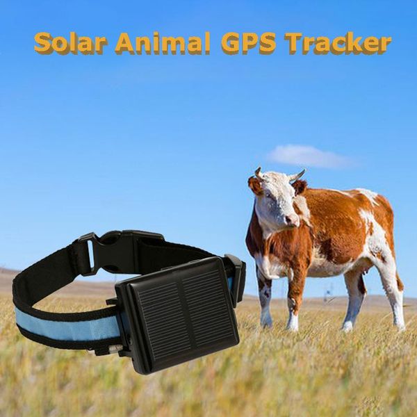 Localizzatori Localizzatore GPS per animali solari Allarme antirimozione Localizzatore GPS WiFi portatile Localizzatore antismarrimento impermeabile per bovini bovini ovini cavalli