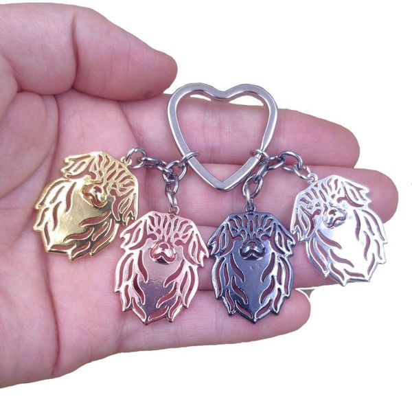 Keychains 2023 Tibetano Spaniel Dog Animal fofo ouro prata prata Chaves para bolsas homens homens meninas moda feminina k198