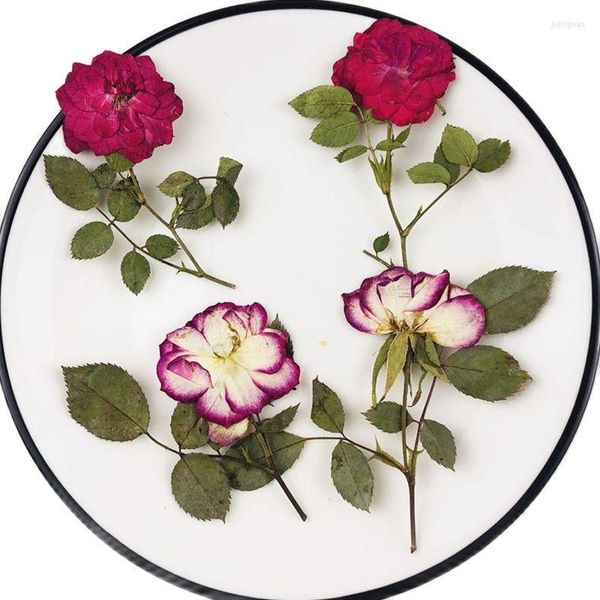 Dekorative Blumen 2023 Rose auf Stielen Blume getrocknete gepresste Handwerke für DIY Epoxy Phone Case 1000Pcs Kostenloser Versand