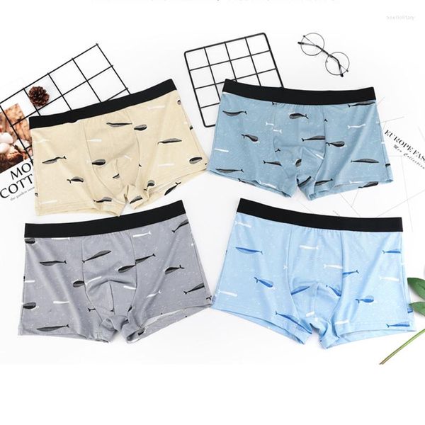 MUITOPANTES MELA DE AUTHER MENINO MELHOR DE SRIDAÇÃO PALTAS DE LENTA DE LAGADAS TRENDY Moda confortável Boxer Briefs Briefs Ice Man