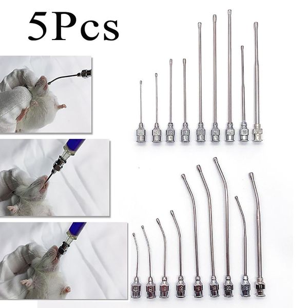 Suprimentos 5 PCS Aço Inoxidável Gavage Aplicador Gástrico Dosando Drench Bocal Para Ratos Ratos Papagaios Pet Aves Alimentando Manual Equipamento de Laboratório