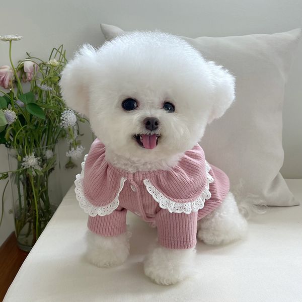 Abbigliamento per cani Camicia per gatti Cagnolino Cucciolo Abbigliamento per cani di piccola taglia Abbigliamento per animali domestici invernale Yorkie Pomerania Shih Tzu Barboncino maltese Bichon Abbigliamento xxs 230504