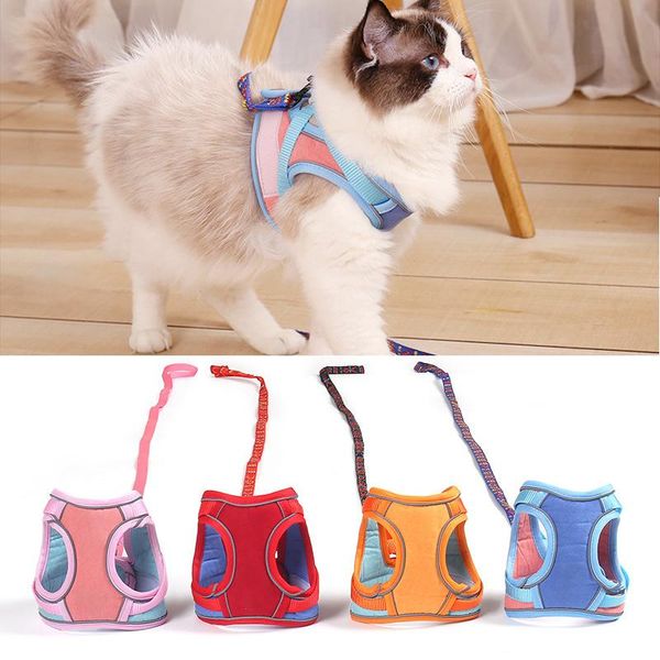 Collari per gatti Guinzagli riflettenti per cuccioli Gilet con guinzaglio Set di cinghie pettorali regolabili per animali domestici Collare per cani traspirante per cani di taglia piccola e media Kitt