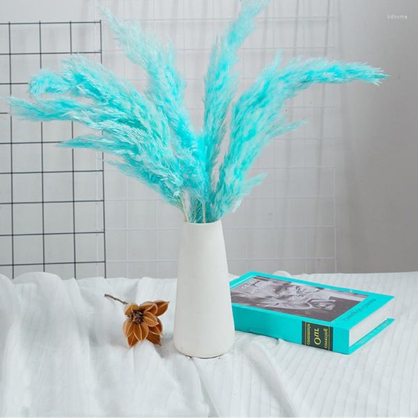 Flores decorativas 5pcs/lote plumas azul -celeste seco FLORES NATURAS Secas para resina epoxi Pequena grama de pampas para casamento em casa decort