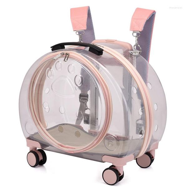 Cat Carriers Wholesale Airline Genehmigt auf Rädern Kinderwagen Trolley Pet Carrier Rucksack Transparente Luftpolstertasche für Reisekoffer