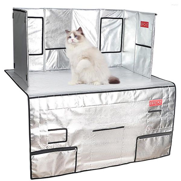 Transportadoras de gatos EFCAT Exposição Cage Pet Show Tabela de beleza Salia de quadro de fundo