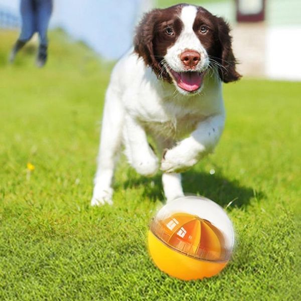 Giocattoli 6XDE Giocattolo interattivo per cani IQ Treat Squeak Ball Erogazione di cibo Giocattoli puzzle per cani di taglia piccola, media e grande che giocano a caccia