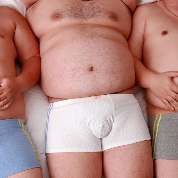 Underpants Edição Limitada 4pcs/Lot Bear Claw masculino Plus Size Boxers Roupa Under