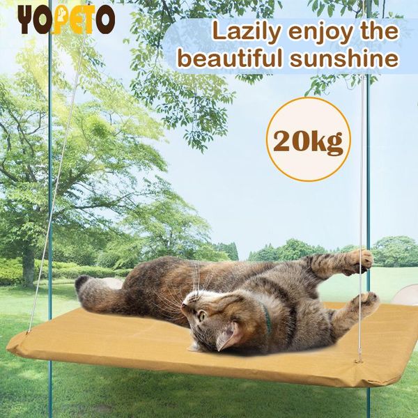 Paspaslar sevimli evcil hayvan asılı yataklar 20kg kedi güneşli koltuk pencere montaj evcil kedi hamak rahat kedi yatak uzun peluş yumuşak evcil hayvan yatak