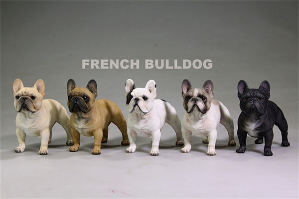 Экшн -фигуры г -н Z Studio 1 6 Stand French Bulldog Bull Dog Pet фигурная фигура коллекционер декор подарка играет на дому. Маленькие украшения 230508