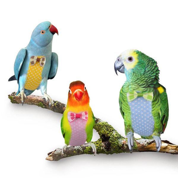 Suprimentos 2 pçs pássaro papagaio fralda vôo terno roupas para bochecha verde conure periquito calopsitas pombos médio grande animal de estimação pássaro