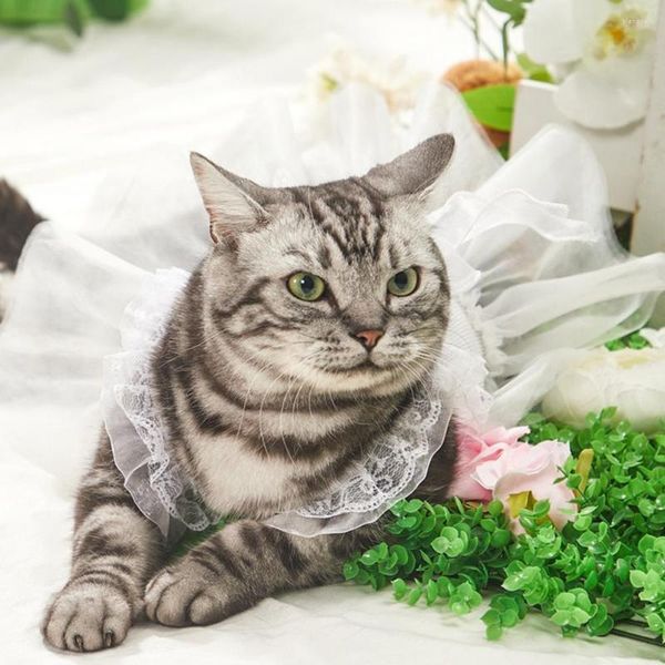 Костюмы для кошек очаровательную юбку для домашних животных красивые плиссированные потом