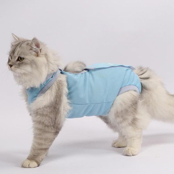 Trajes de gato roupas elegantes roupas de recuperação macia traje de corpo mantém quente unissex pijama de estimação