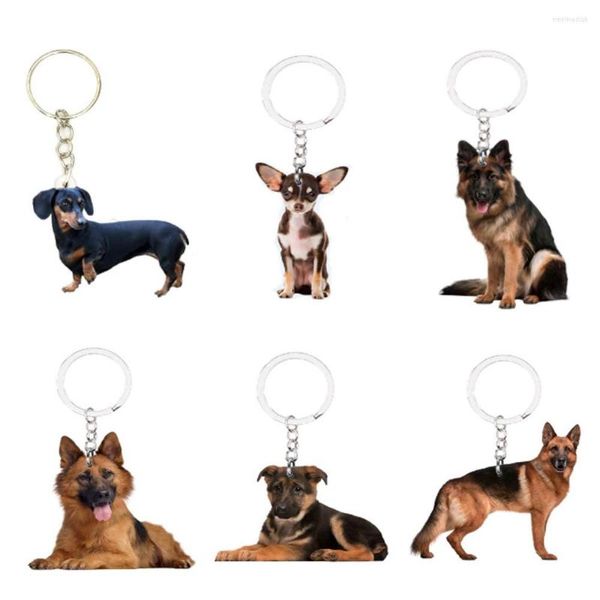Chaveiros de cachorro encantos de chaveiro 6pcs/set animal não 3d llaveros