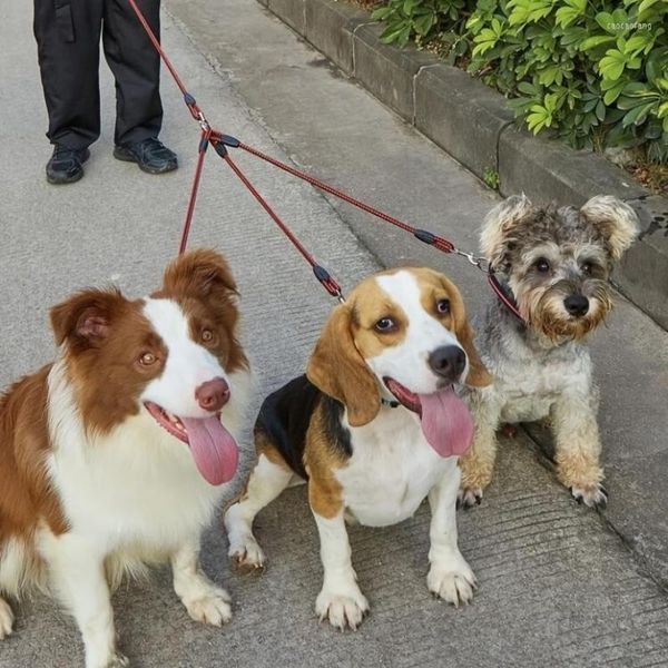 Collari per cani Addestramento al guinzaglio per animali domestici a 3 vie per cani da passeggio all'aperto