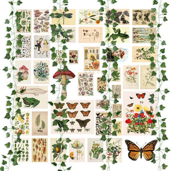 Decoração de festa 45pcs Vintage Botânica estética Kit de colagem de parede de videiras Fake Vines Art Ilustração Cartão de cartaz Bedroom Decor 230510