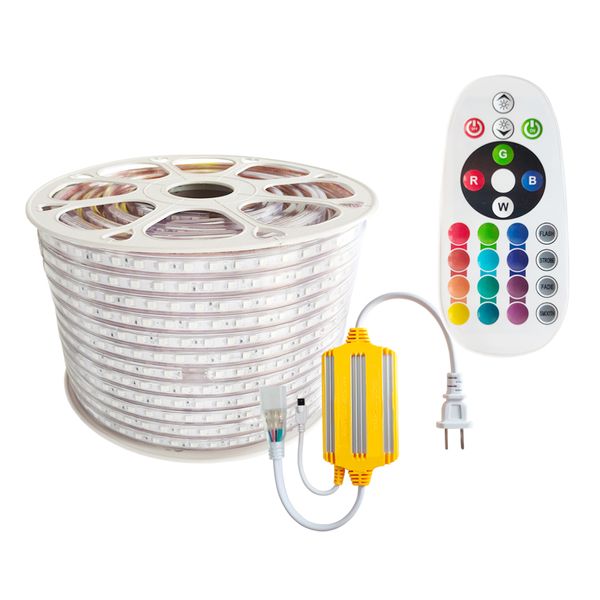 AC 110-120V Strisce luminose a LED RGB flessibili, 60 LED/M, impermeabili, cambia colore multicolore 5050 SMD LED a corda + telecomando per la decorazione della festa nuziale crestech168