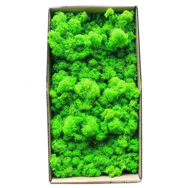 Flores decorativas grinaldas 1500g de simulação plantas eternas vidas de musgo decoração de jardim home parede de flores diy mini micro paisagem presente falso 230510