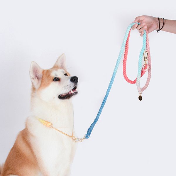 Collari per cani Guinzagli Guinzaglio per cani Rotondo Cotone Cani Corda di piombo Colorato Pet Guinzagli lunghi Cintura Outdoor Dog Walking Training Leads Corde Collare per cani 230512