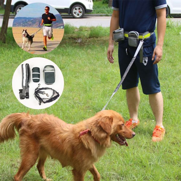 Köpek yaka tasmalar çalışan köpek tasması köpek eğitim çantası Pet yaka ipi el ücretsiz yansıtıcı çekiş ipi çıkarken çanta ile dl802 230512
