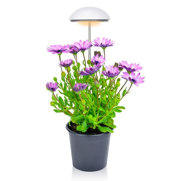 Kleines LED-Pflanzenwachstumslicht mit Regenschirm, 20 W, 24 LEDs für Kräutergarten, Topfpflanzen, höhenverstellbar, Timer, Dimmer, Pflanzenwachstumslampe, Zimmerpflanzen, Weiß