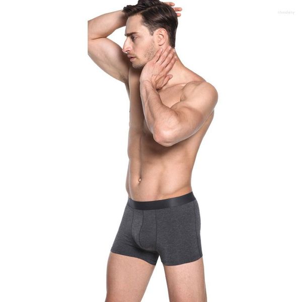 Mutande 2023 Boxer da uomo di alta qualità Pantaloni ad angolo retto modali in puro tessuto fine U Biancheria intima maschile sporgente