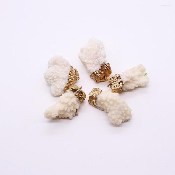 Charms 21x42 мм естественный грубый белый коралловый кулон нерегулярный морской шарм Женщины DIY Серьги для ожерелья ювелирные изделия
