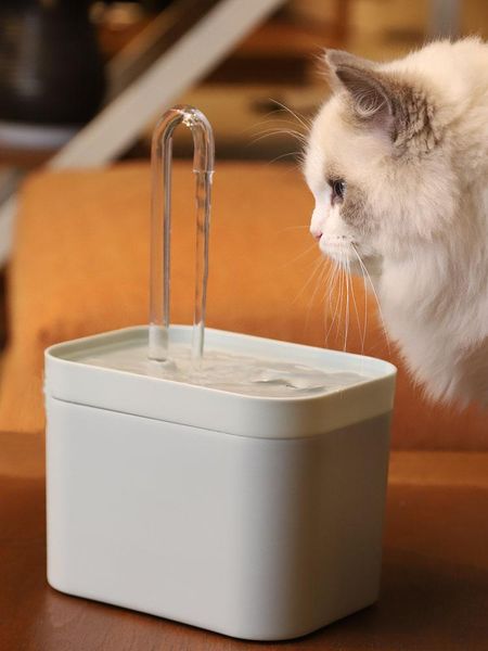 Поставки кошачья вода Фонтан Автофильтр USB Electric Mute Druger Bowl 1.5l Рециркуляция фильтрационного пьющего для кошек дозатор воды для домашних животных
