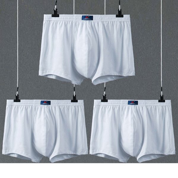 Mutande 3 pezzi / lotto Wedding Po Intimo da uomo Boxer in cotone Bianco Colore grigio chiaro Tessuto sano Boxer in cotone Mutandine Uomo Mutande 230515