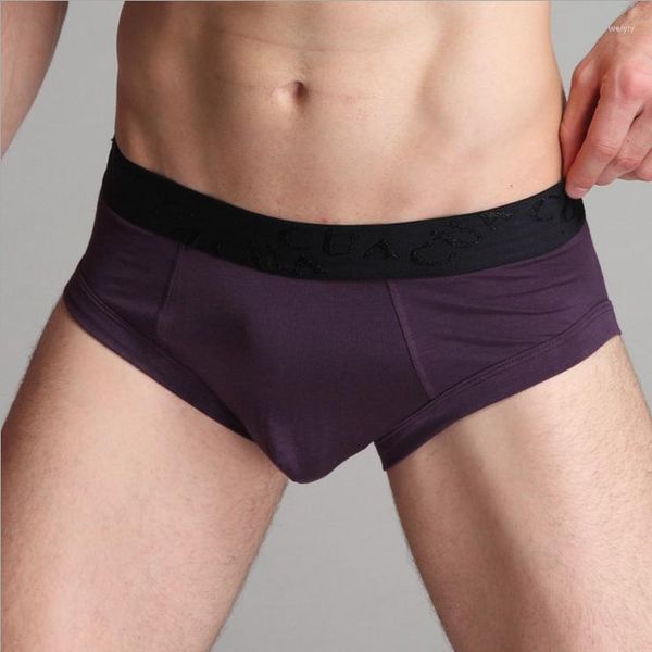 UNDUPTS 2 PCS/LOT Sade Boş Erkekler Kılavuzlar İç Çamaşır Seksi Modal Strengy Panties Underpant Elastik Kalite Kaymalar Mens
