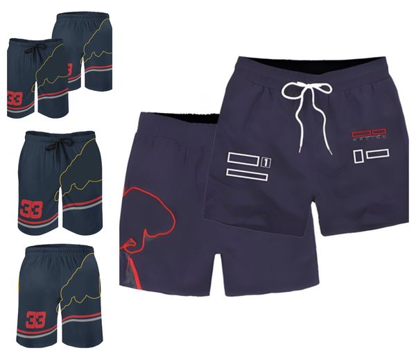 Novo terno de corrida de F1 quente calções de equipe masculina verão calças de moletom respiráveis calças de praia