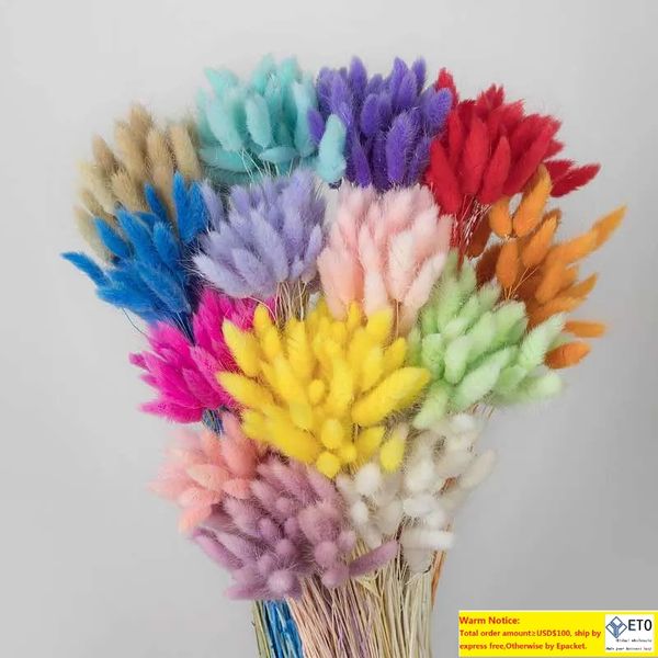 10pcs fiori secchi naturali Lagurus fiori artificiali bianchi colorati coda di coniglio finta erba ovatus coda di volpe bouquet lunghi grappoli