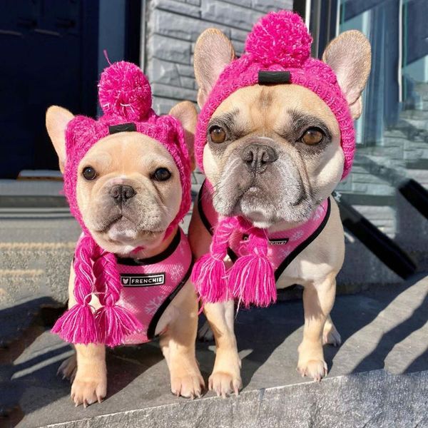 Abbigliamento per cani Cappello invernale Pom Beanie Berretto caldo lavorato a maglia Accessori per animali domestici carini Cappuccio scaldaorecchie per cani di taglia piccola e media Cane