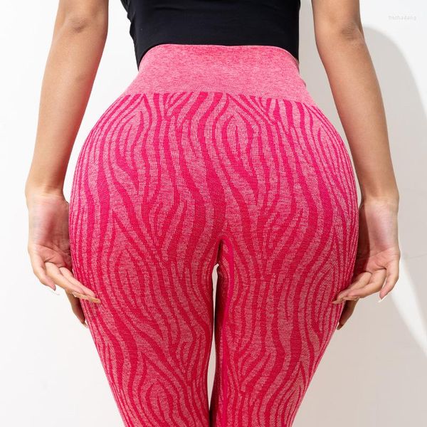 Kadın Tozlukları Zebra Desen Yoga Pantolon Dikişsiz Örgü Açık Spor Fitness Yüksek Bel Taytları