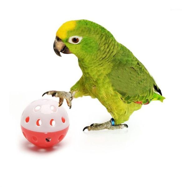 Andere Vogelbedarf Nettes Haustier Papagei Spielzeug Hohlball mit Glocke für Sittich Nymphensittich Kaugeräusch Spielzeug Zubehör Zufällige Farbe