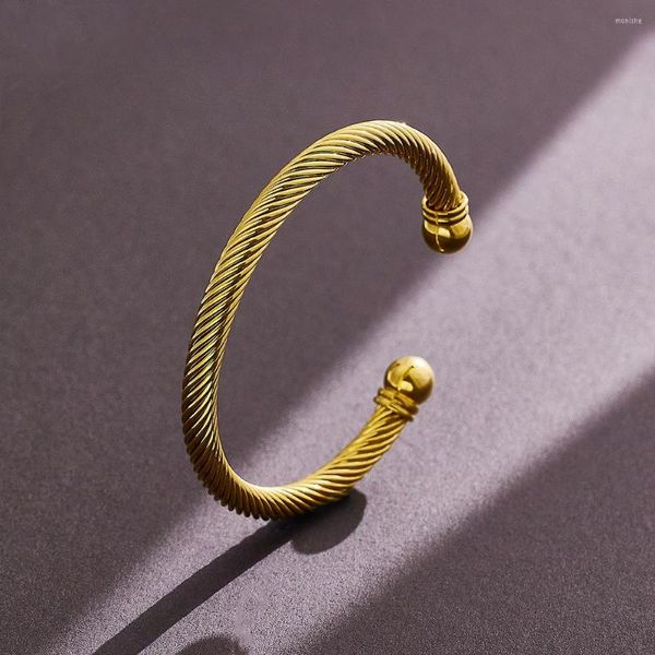 Armreif Europäische und amerikanische Mode Luxus Edelstahldraht Titan offenes Armband für Männer Urlaubsgeschenk