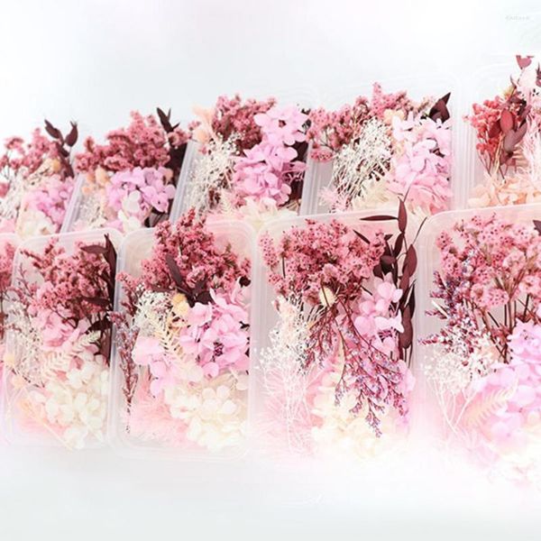 Flores decorativas 1 caixa decoração de flores seca conveniente portátil preservado leve modelo de cores vivas de cores vivas