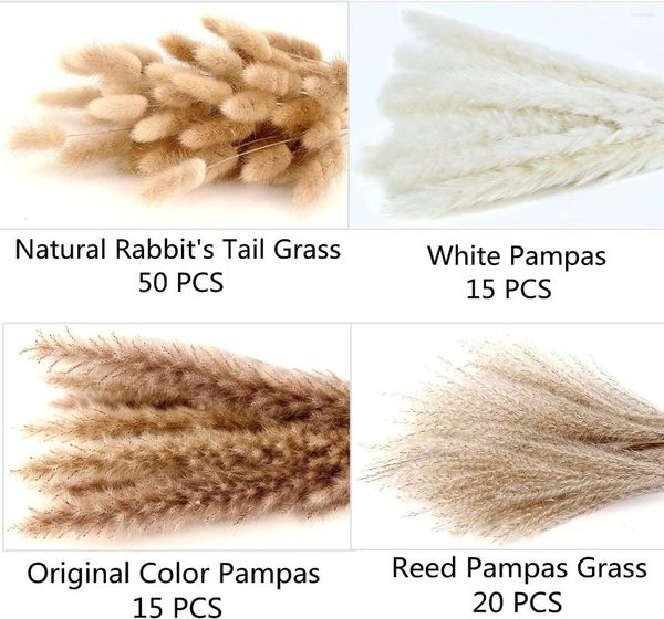 Dekoratif çiçekler 100pcs kurutulmuş pampas çimleri kuyruklar içerir sazlık buket düğün boho ev dekoru kabarık oda phragmites dekorasyon