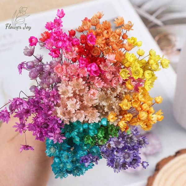 Flores decorativas mini margarida pequena estrela seca seca buquê estética jardim da casa decoração seca de camomila decoração para casamento