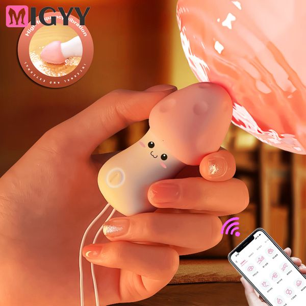 Toys para adultos Sex Bluetooths Mini Vibrator para Women Wireless App Controle remoto Wear calcinha vibratória Toy Casal Shop 230519