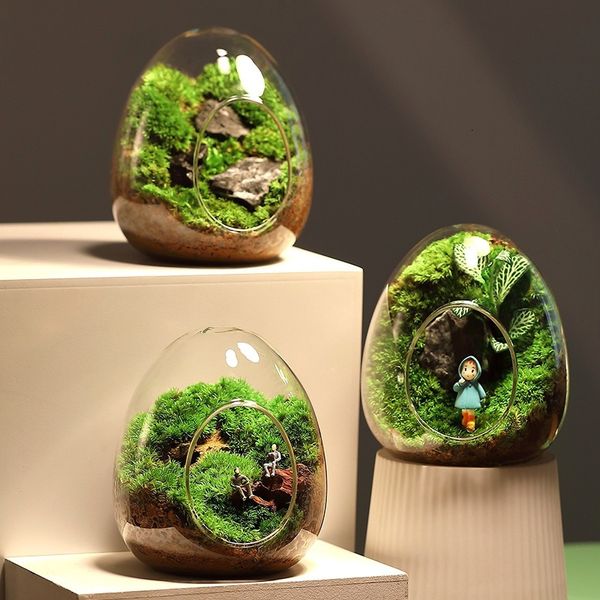Objetos decorativos Figuras de garrafas de vidro em forma de ovo criativo suculento vaso hidropônico Micro paisagem terrário Moss decoração 230520