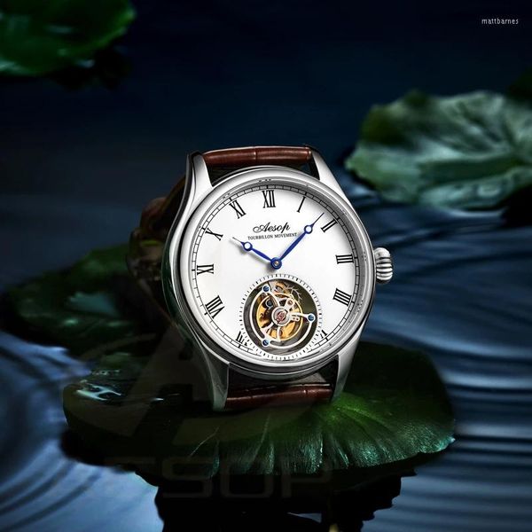 Armbanduhren AESOP Marke Original Tourbillon Mechanische Business Uhr Für Männer Luxus Saphir Armbanduhr Wasserdichte Uhr Relogio Masculino