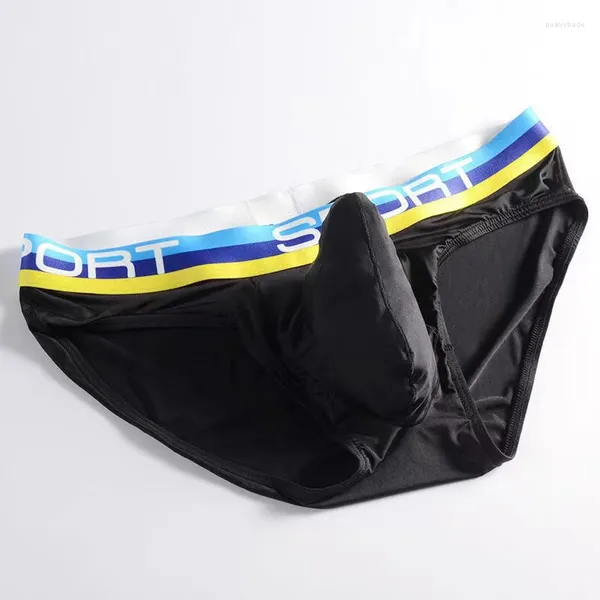 Underwear Mens Luxury Underpants Naso Elefante Sexy Uomini U Brevi convessi Cascia traspirabile Mash Shorts Maschio Cueca Penis Gay Silk Summer Cassetti estivi Kecks Thong Hv12