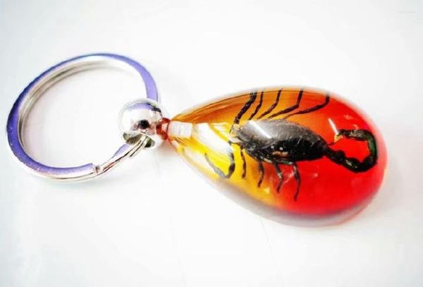 Keychains 10 PCs Keychain Real Black Scorpion King colorido Drop Design Key Anel