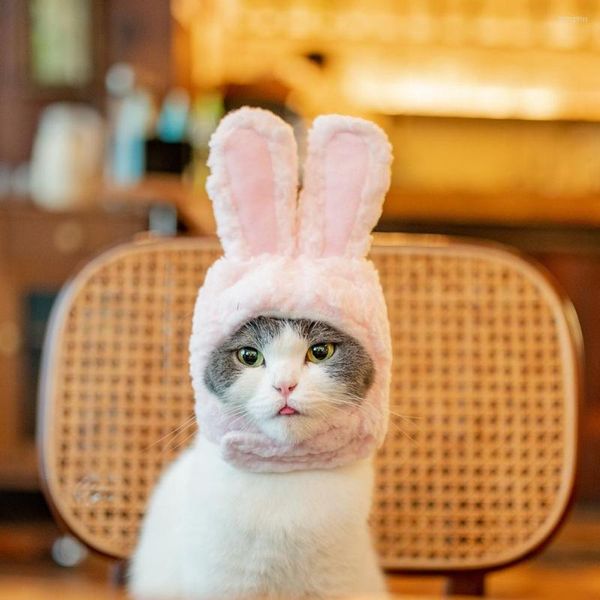 Abbigliamento per cani Orecchie per cartoni animati durevoli Cappello per gatti Copricapo per animali domestici Copricapo lavabile Vestire