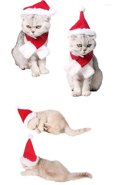 Abbigliamento per cani 1 pz cappello natalizio Babbo Natale piccolo cucciolo gatto costume da festa per cani festa annuale