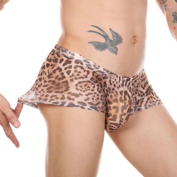 Cueca boxeadores de estampa de leopardo homens roupas íntimas sexy u-pague malha sheer ver através de calcinha fina masculino masculino mini troncos
